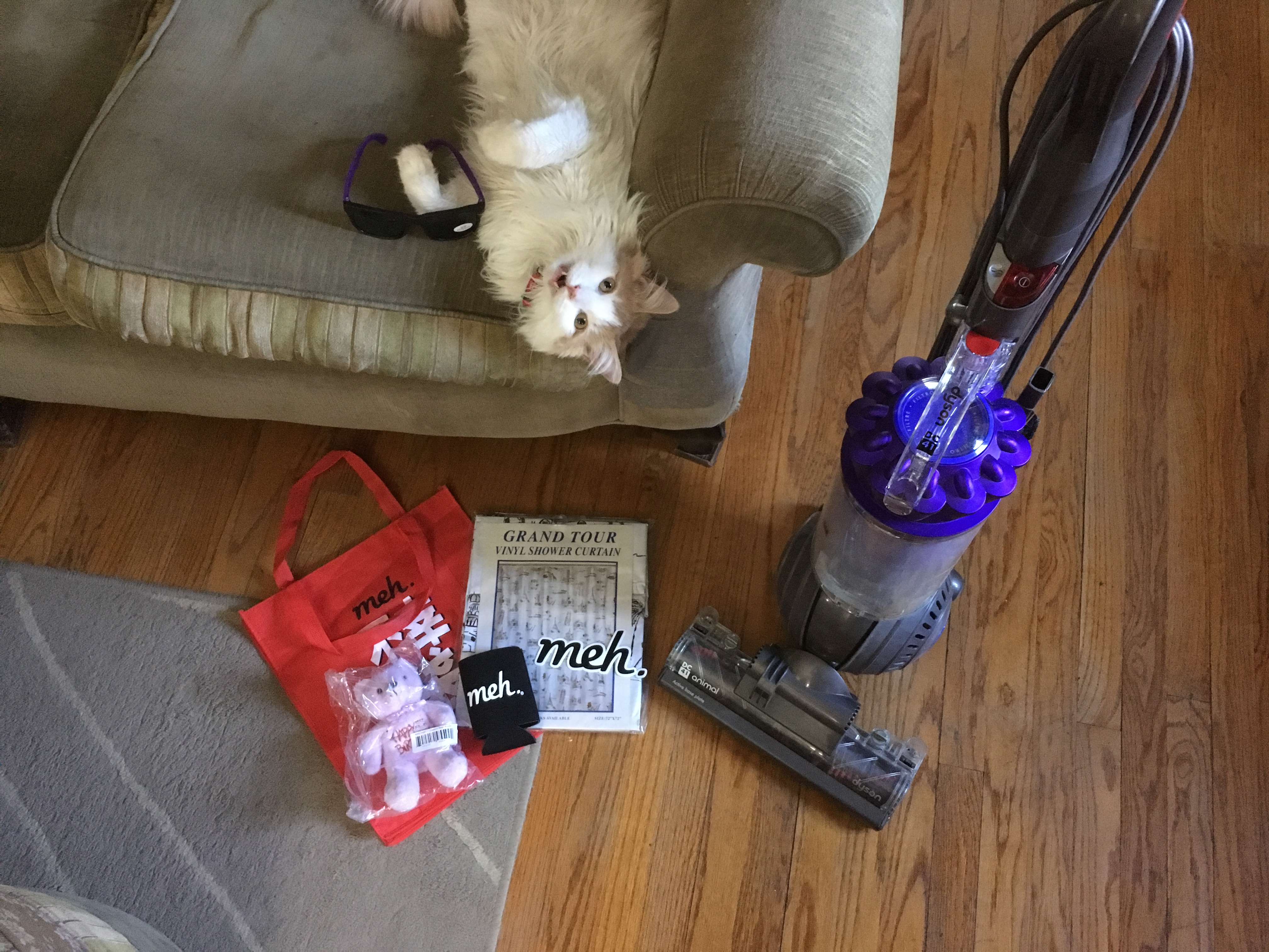 Dyson animal vac and the animal