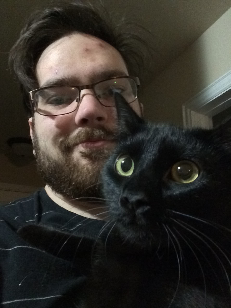 My cat Jett