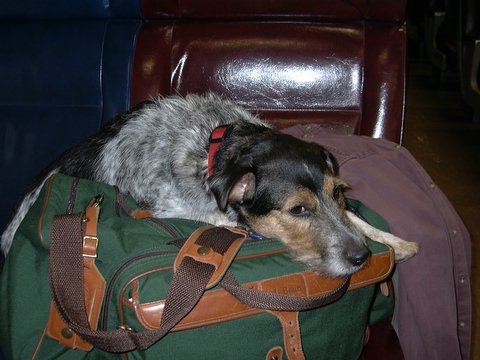 Riding the rails,