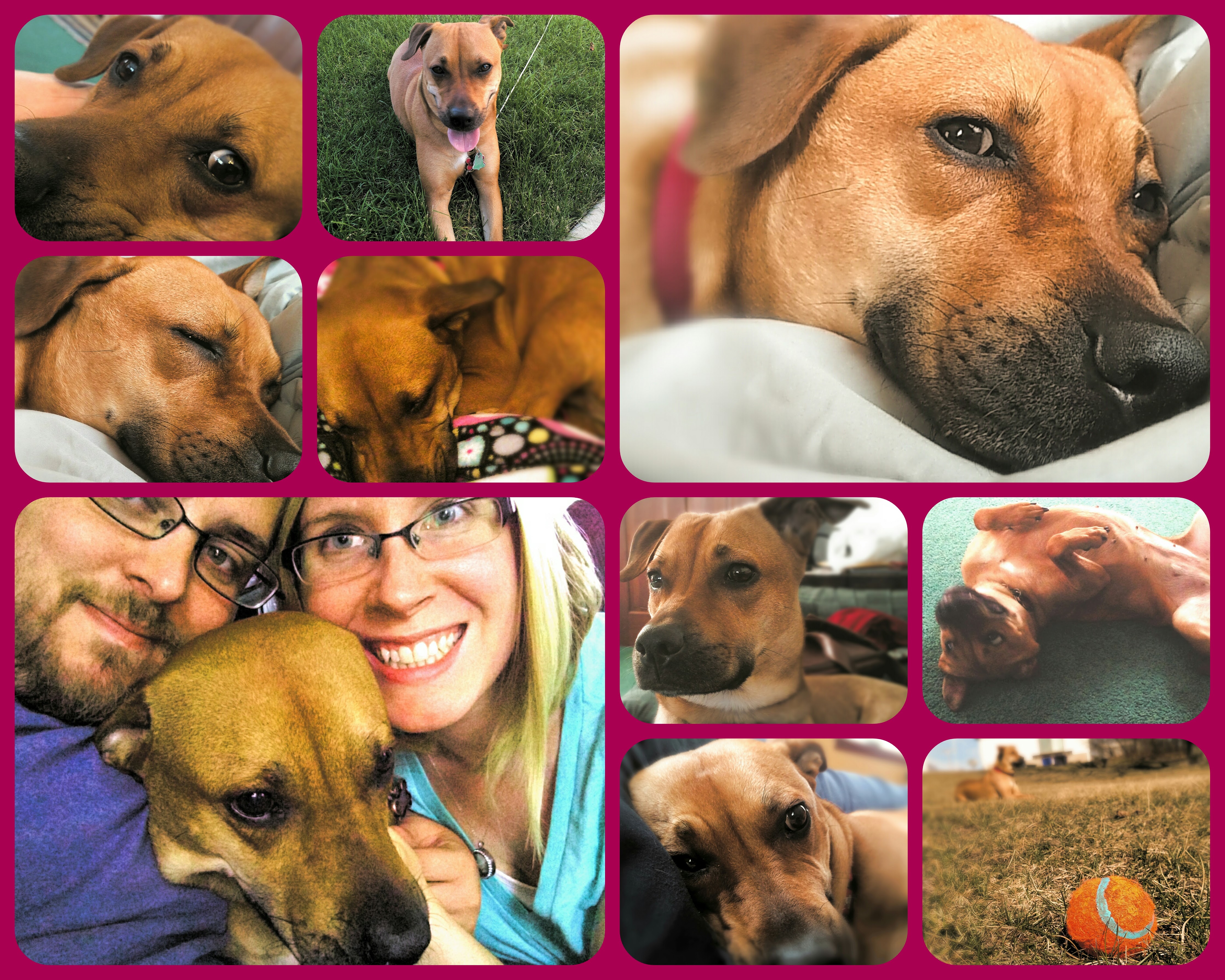 Giselle 7-month Collage