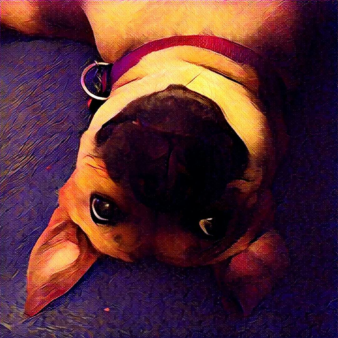 Goofy