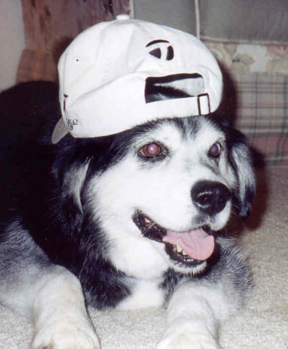 My buddy Tinker