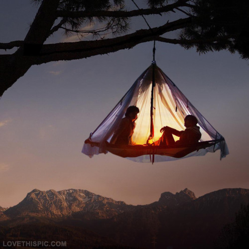 promiscuous-grateful-tent