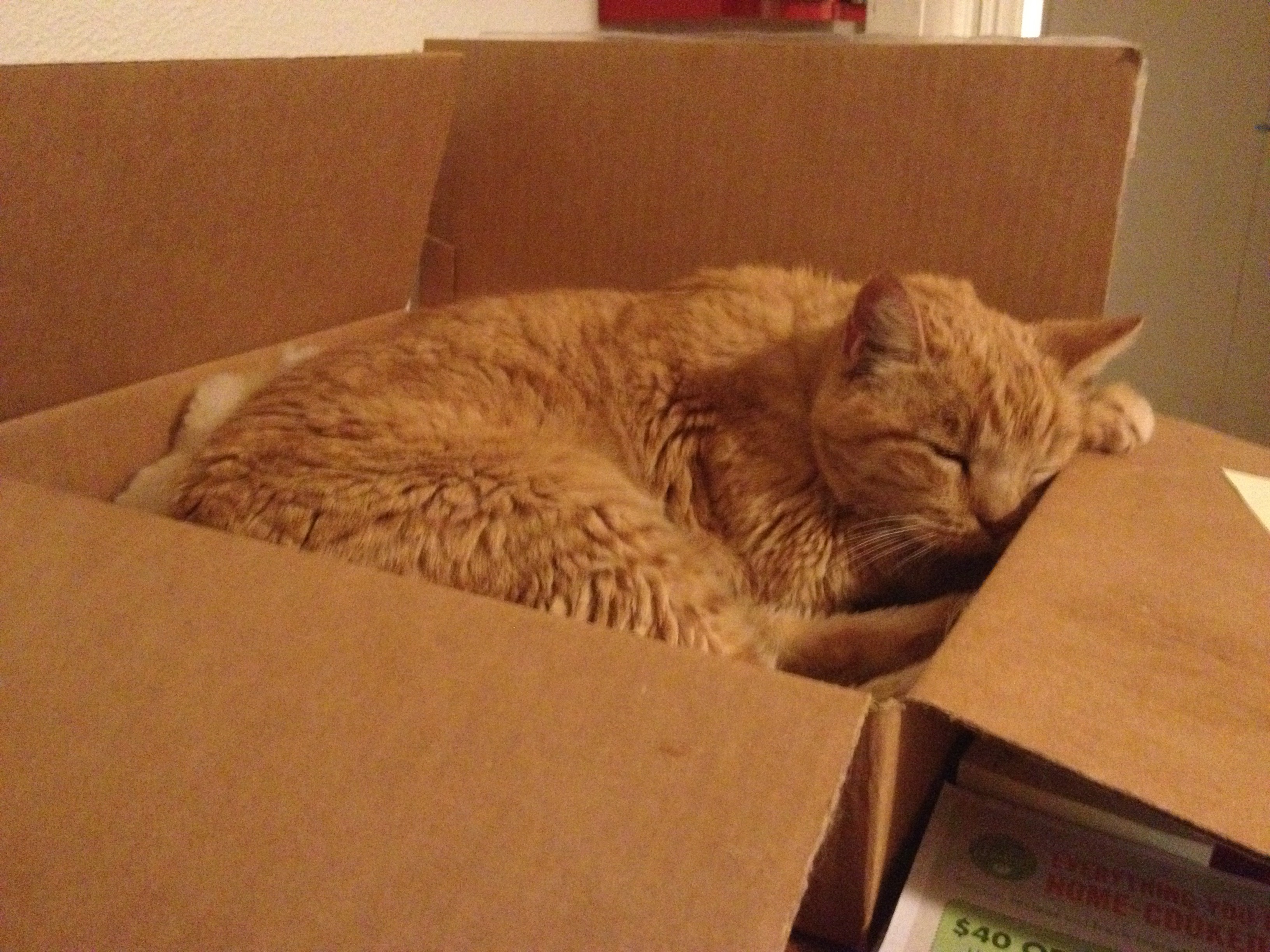 Colby 1