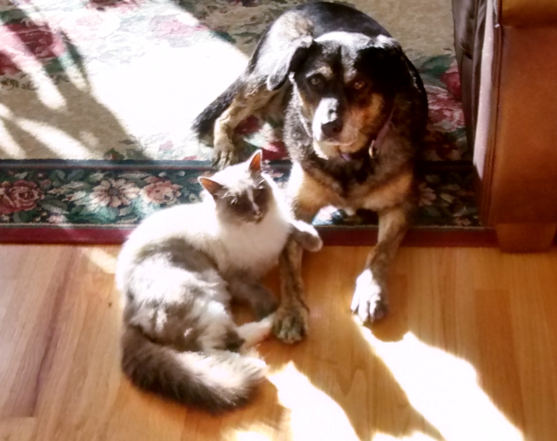 Weez and Fuzzy