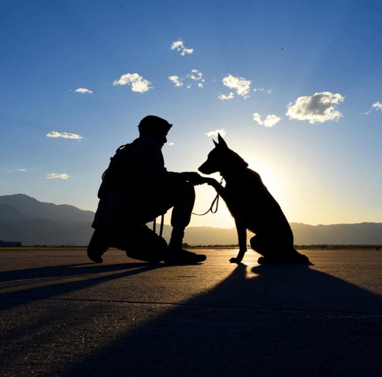 Got your back
