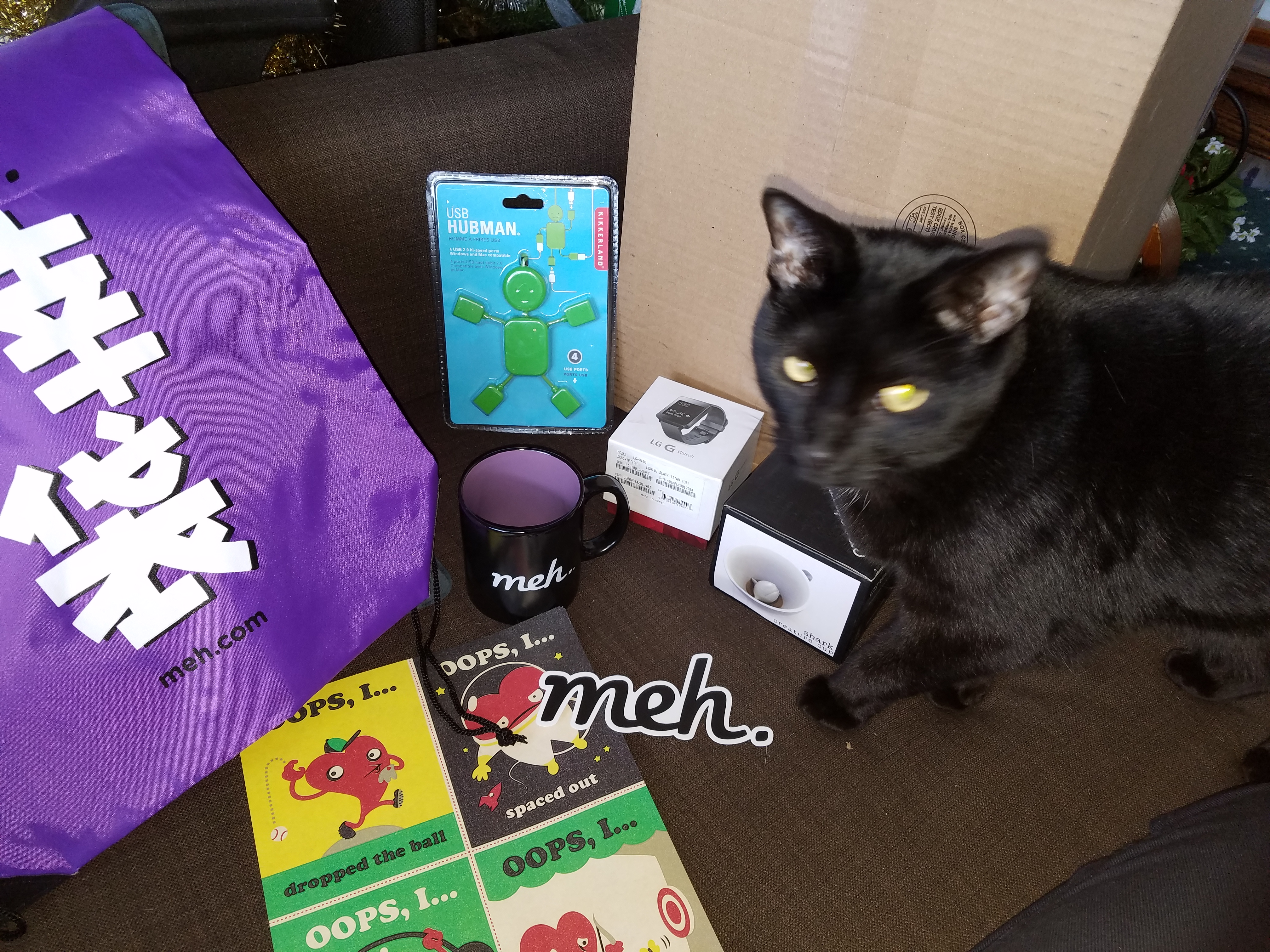 cat says meh