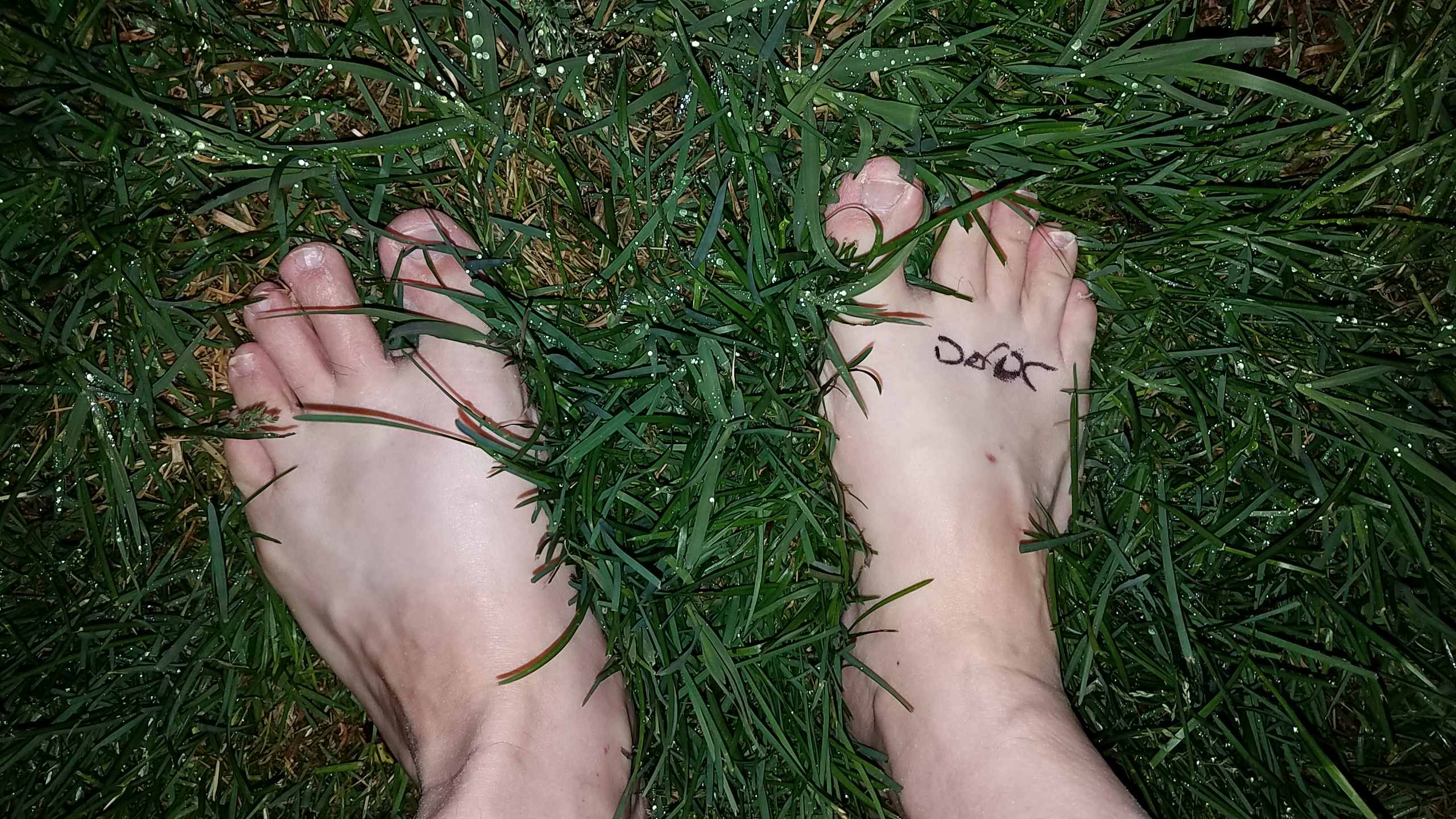 Feet
