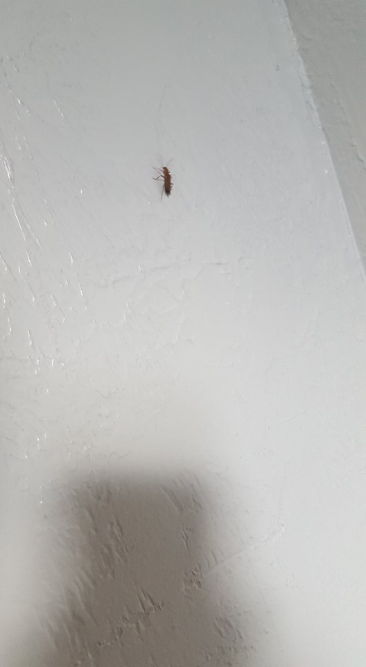 There's one on the wall...