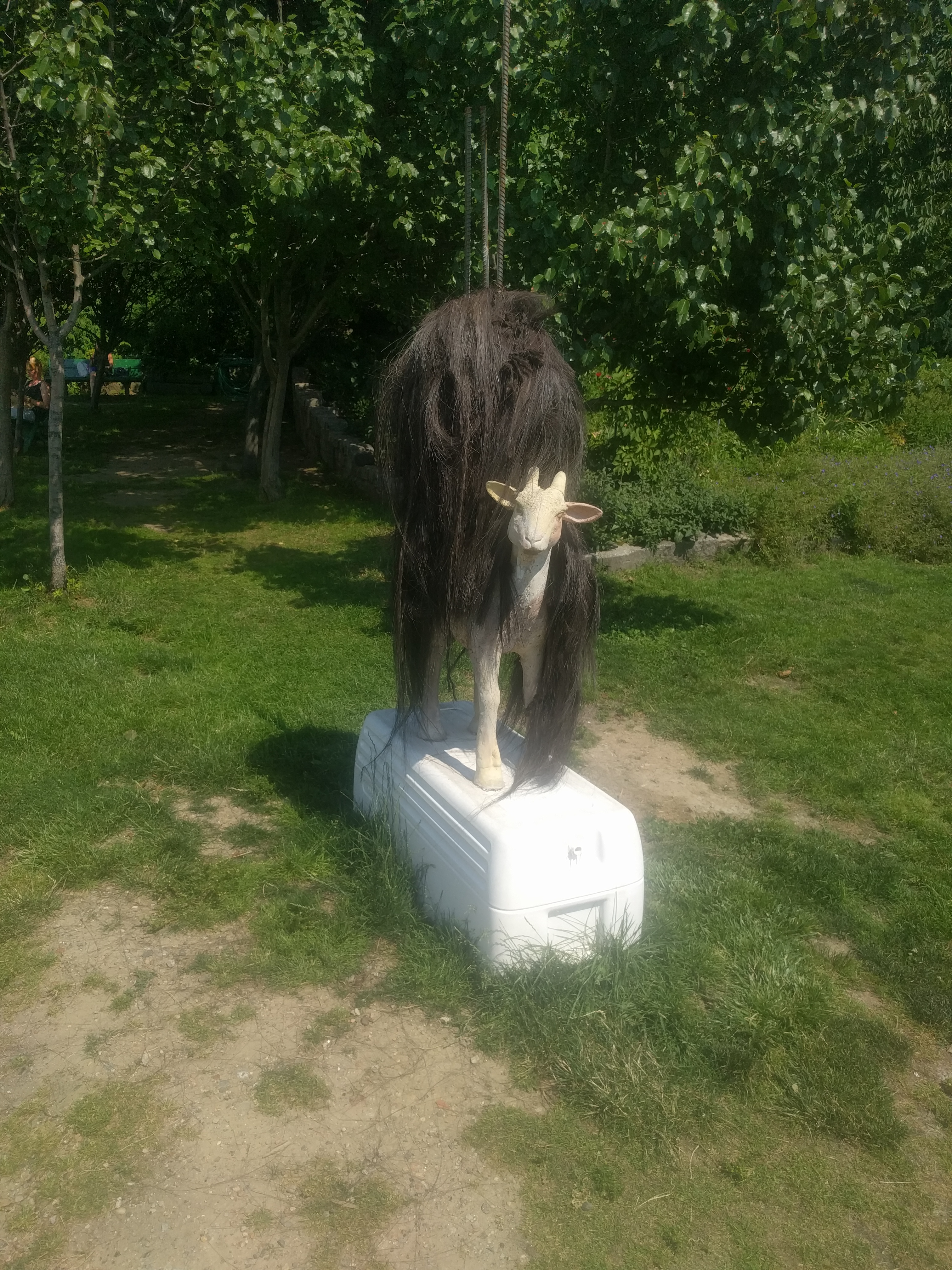 Another goat