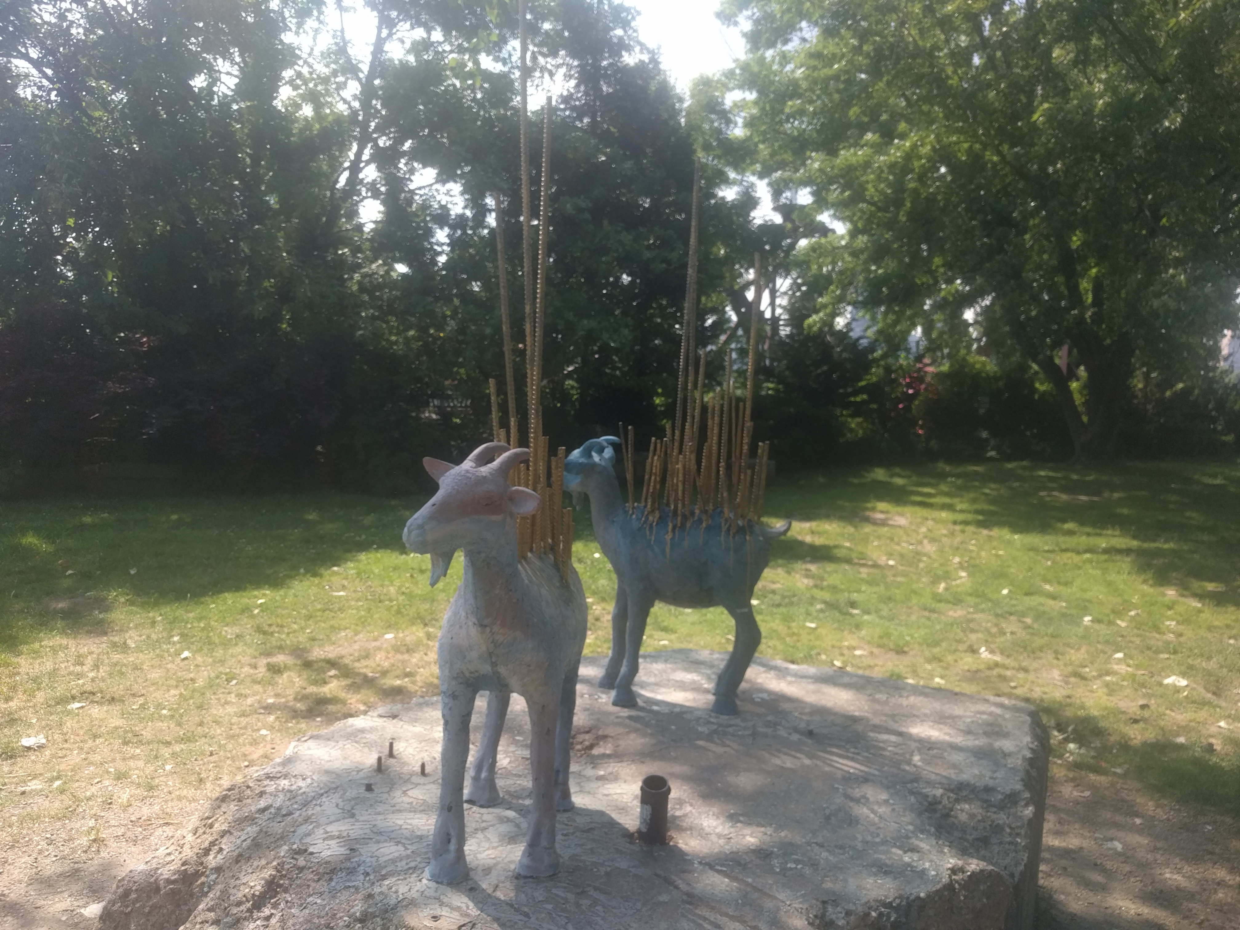 more goats
