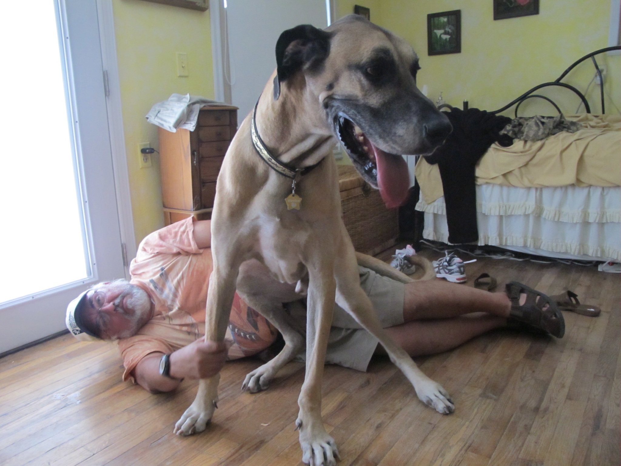Just sitting here on Uncle Bob