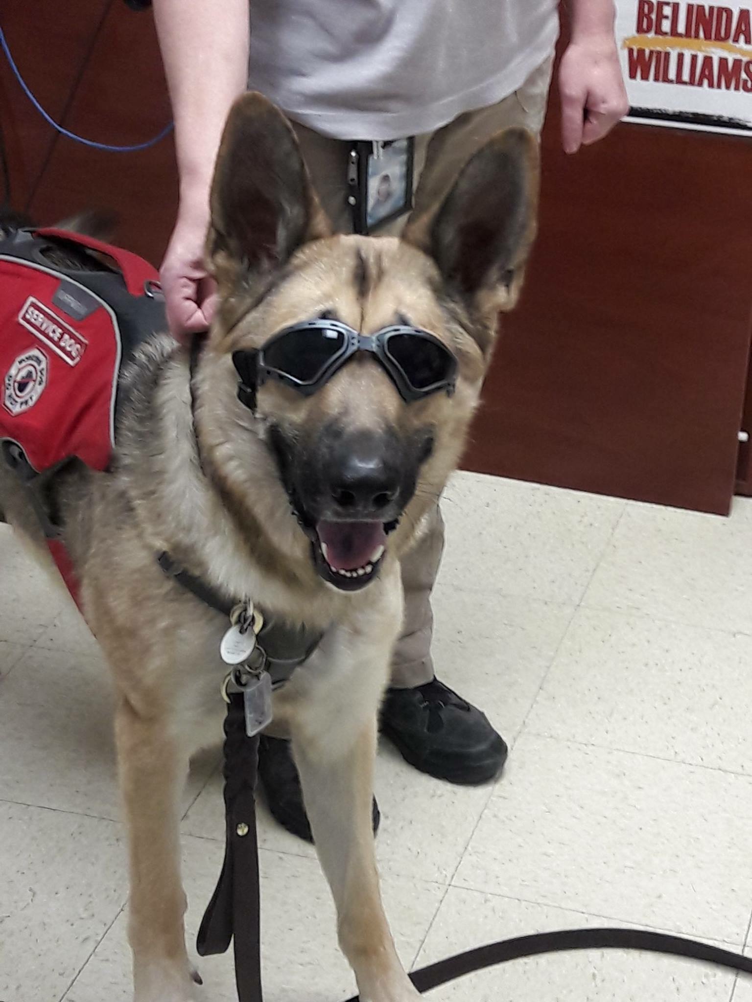 Kewl K9! 