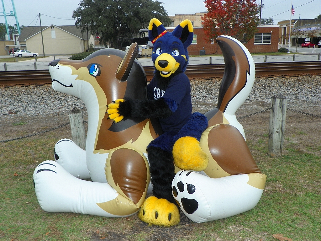 Pooltoy wolf with pooltoy wolf