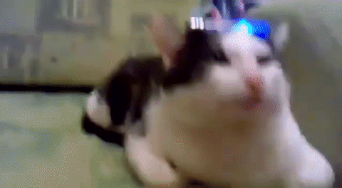 run