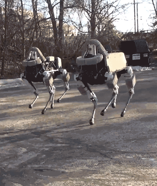 darpa