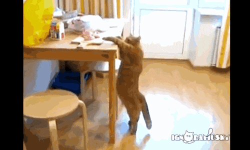 mewow