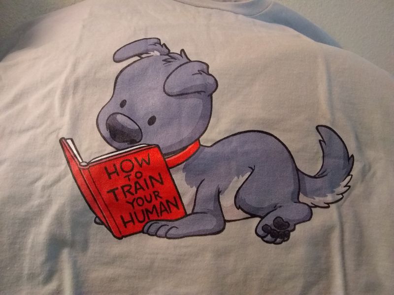 DoOomcat shirt