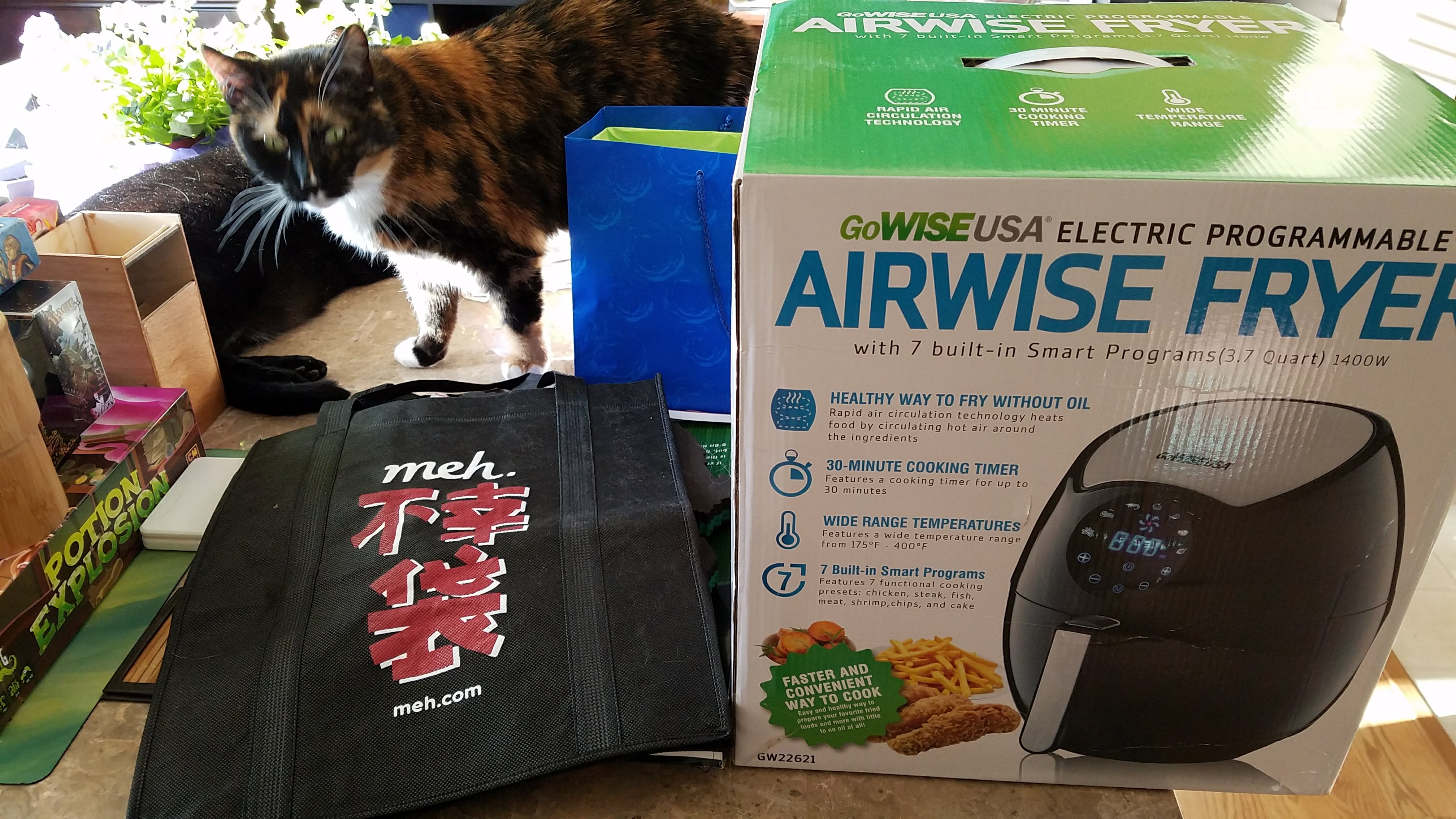 Airwise Fryer