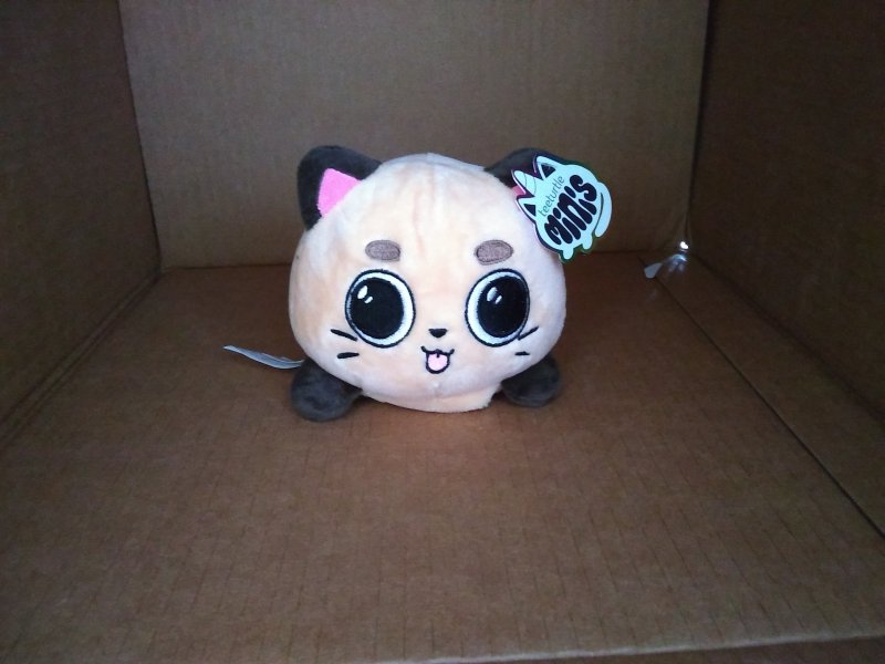 Cat pug TeeTurtle