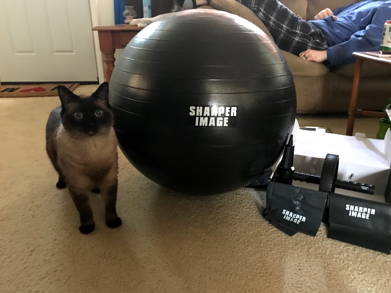 kit