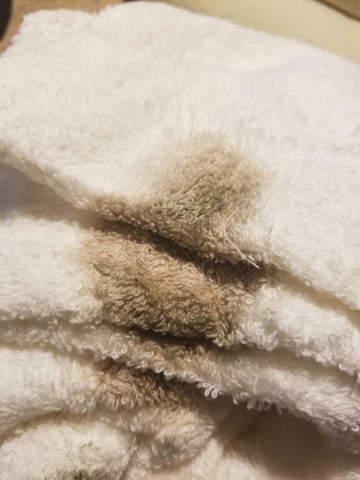 One side moldy