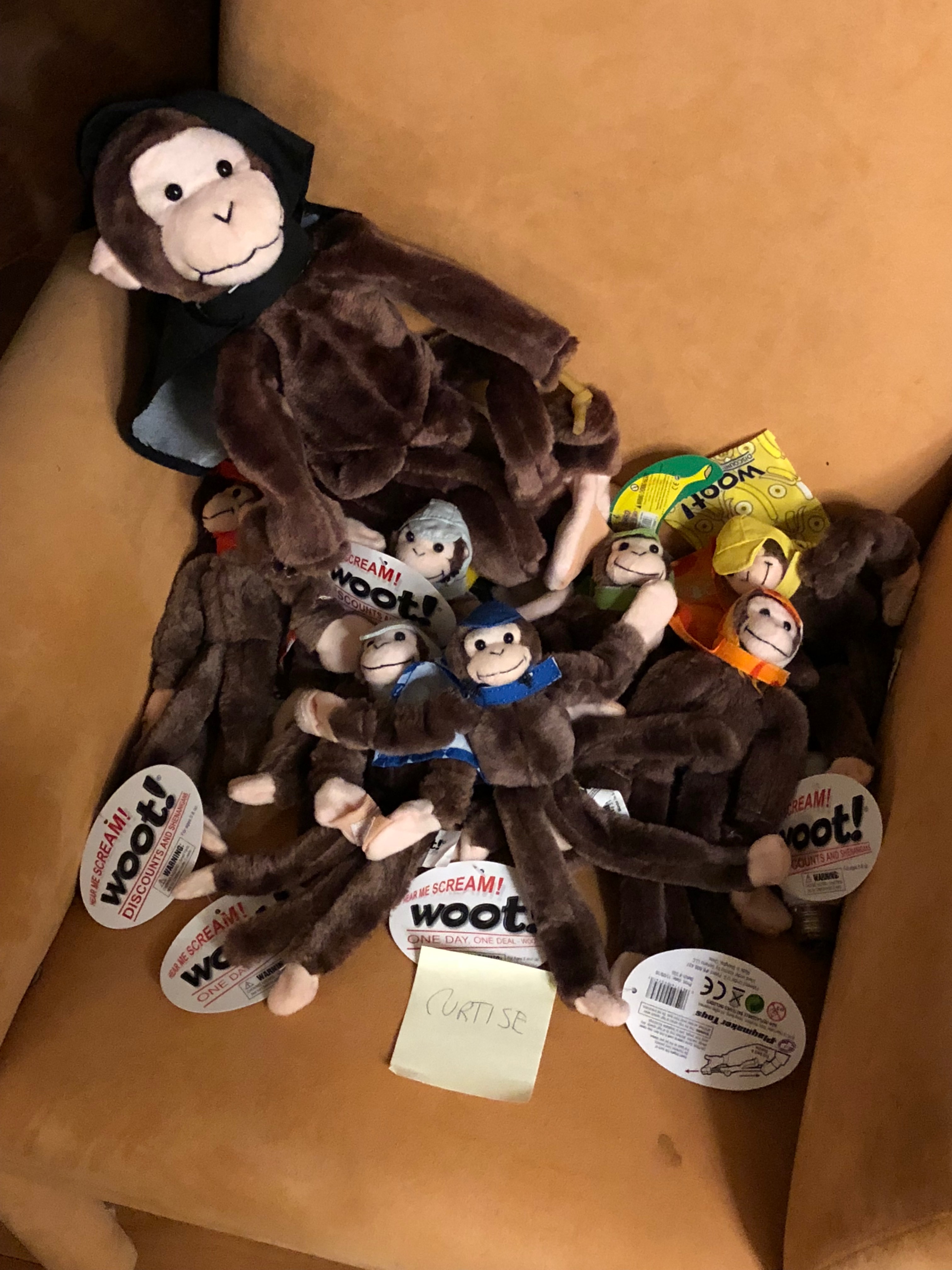 ALL THE MONKEYS