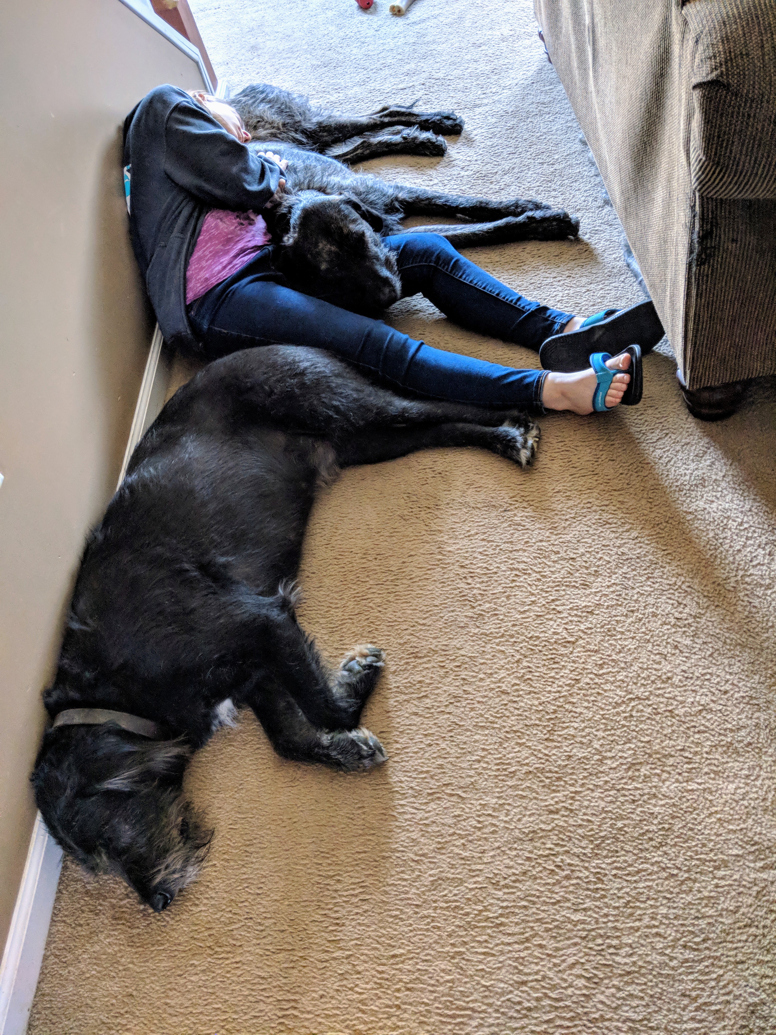 lazy