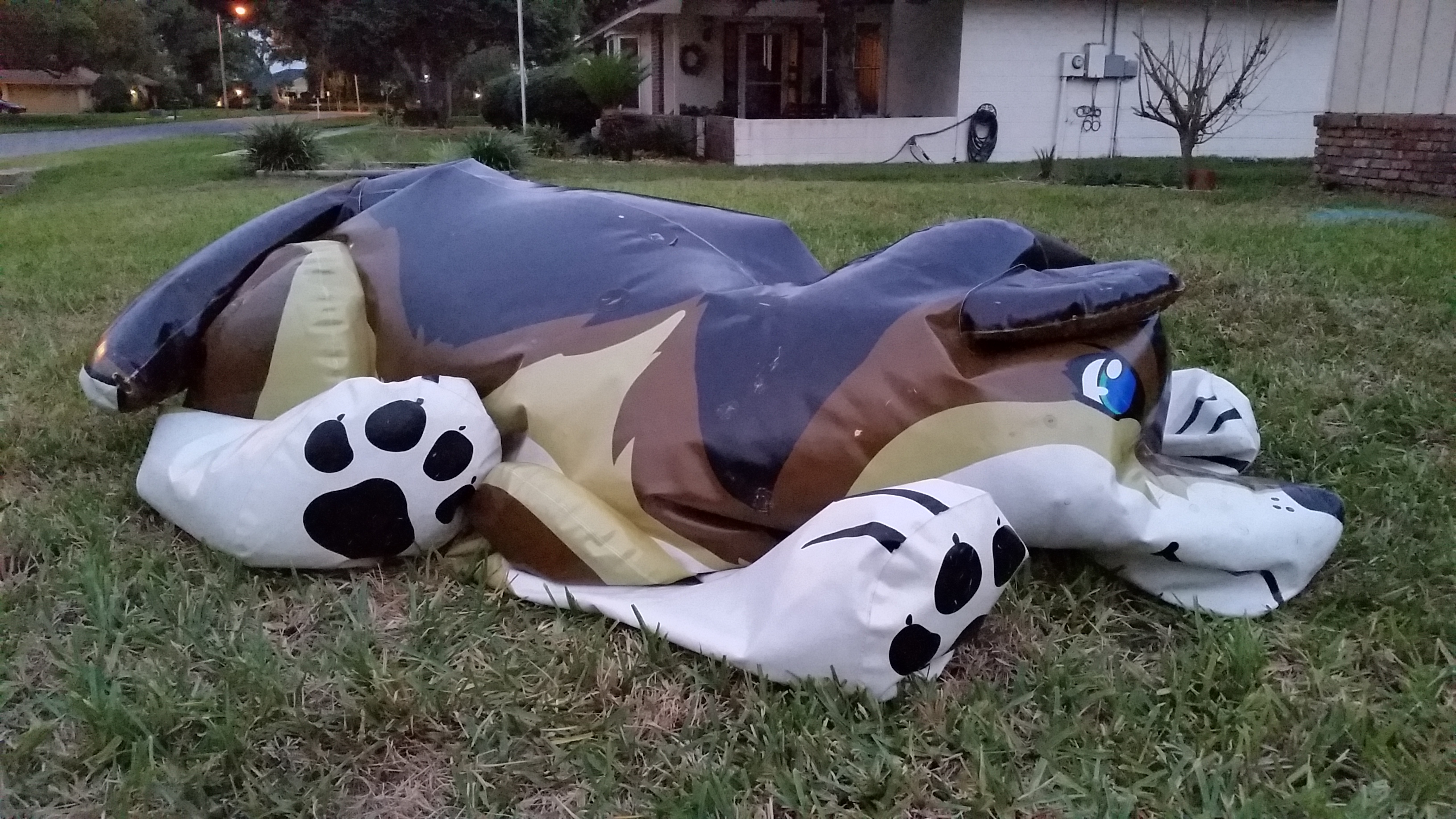 Flat wolf
