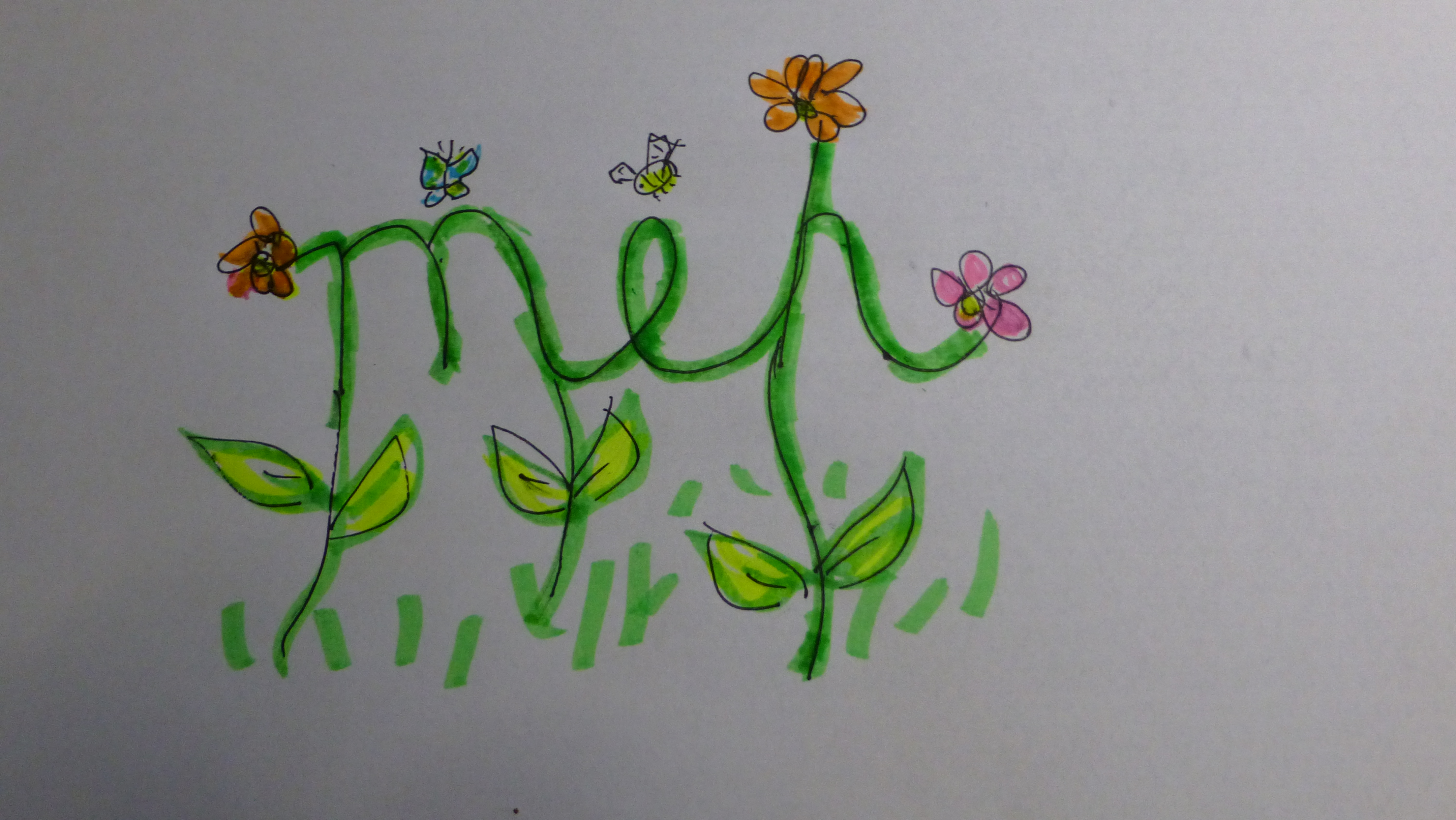not zen meh garden