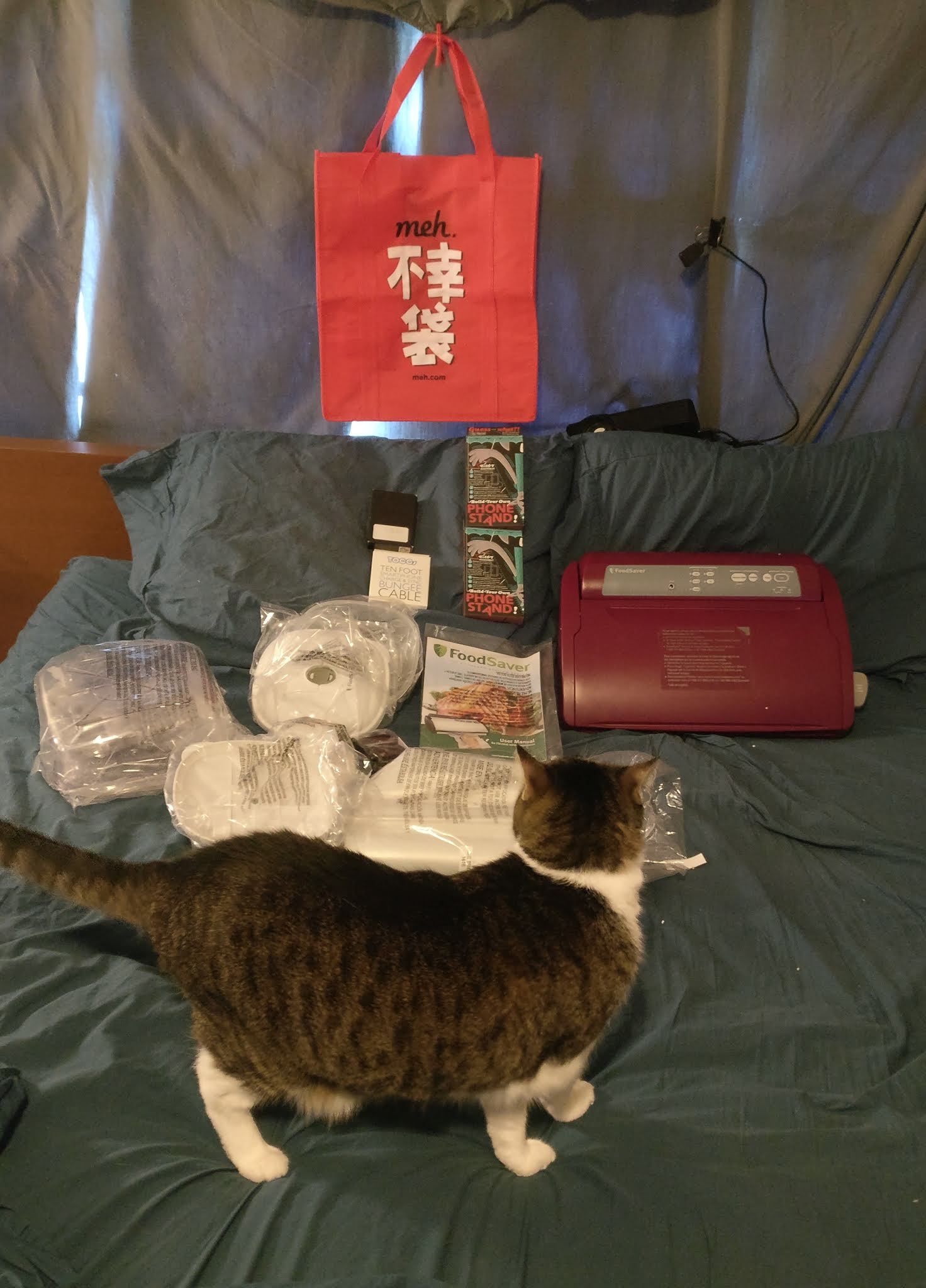 Fuko-inspection
