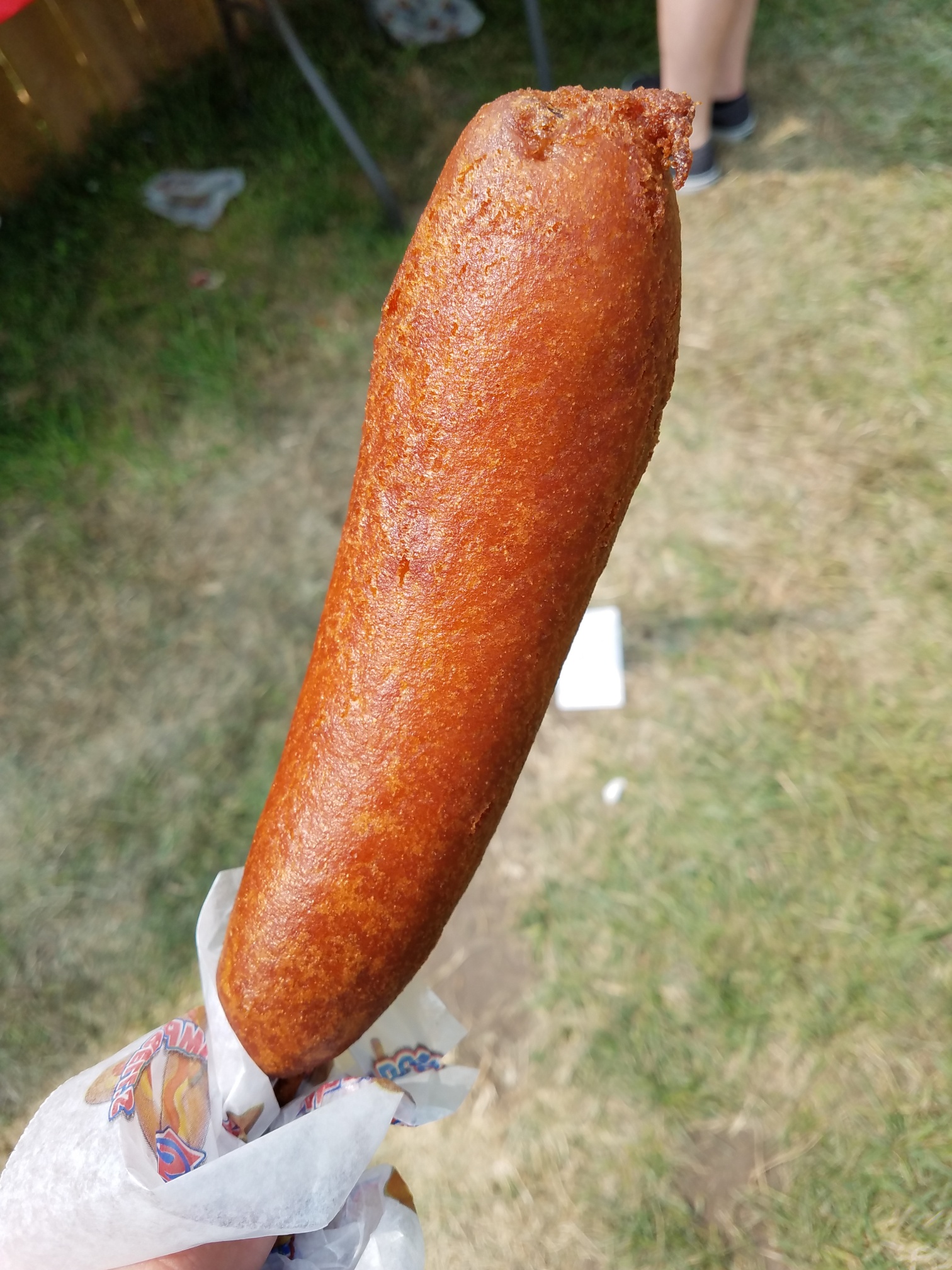 Polish Sausage Dog