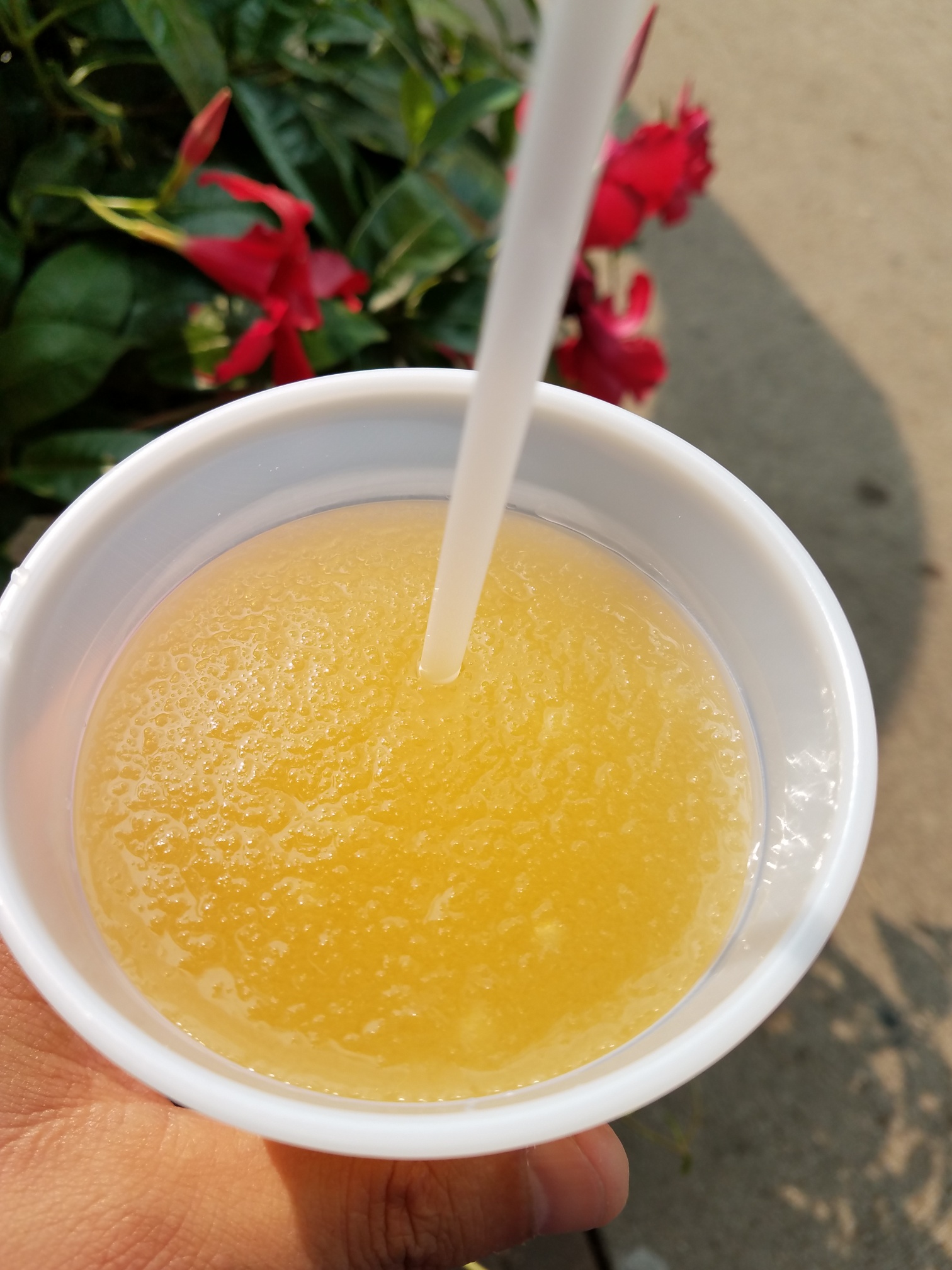 Apple Slush