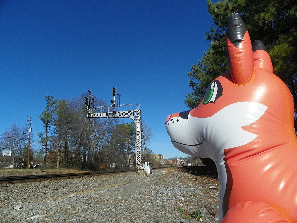 Nate the fox