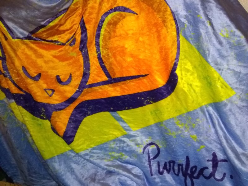 catblanketwoot