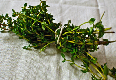 Waist of Thyme
