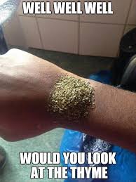 The Thyme Is Now