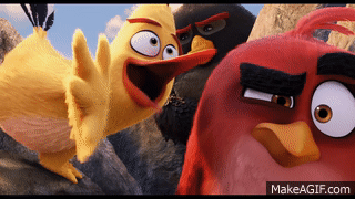 Angry Squawk