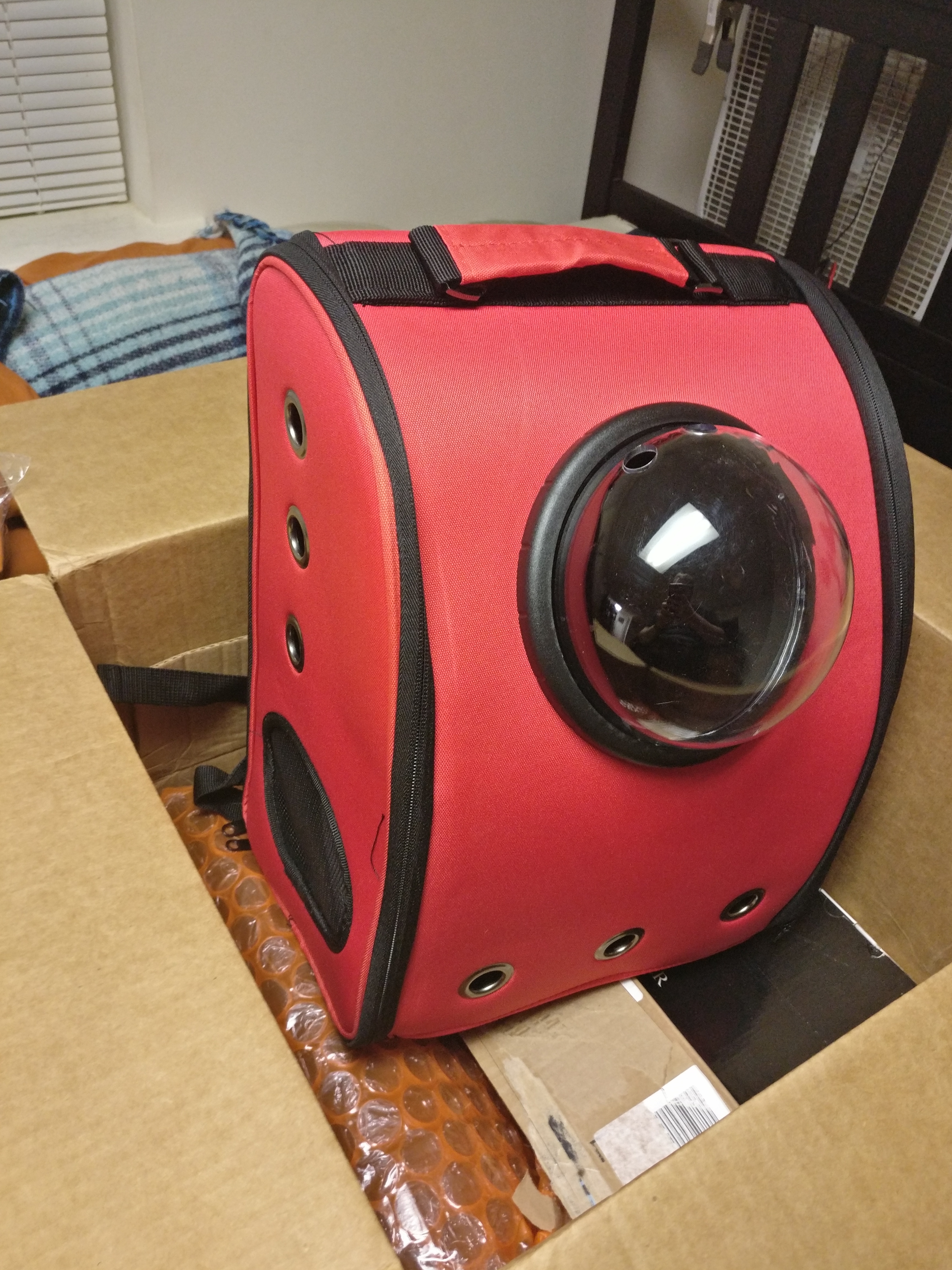 catpack