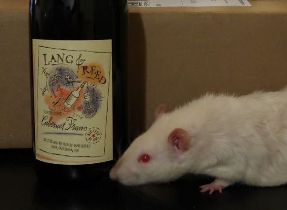 Sirrius Lab Rat