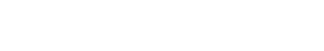 Bush Home logo