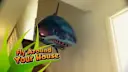 The Air Shark